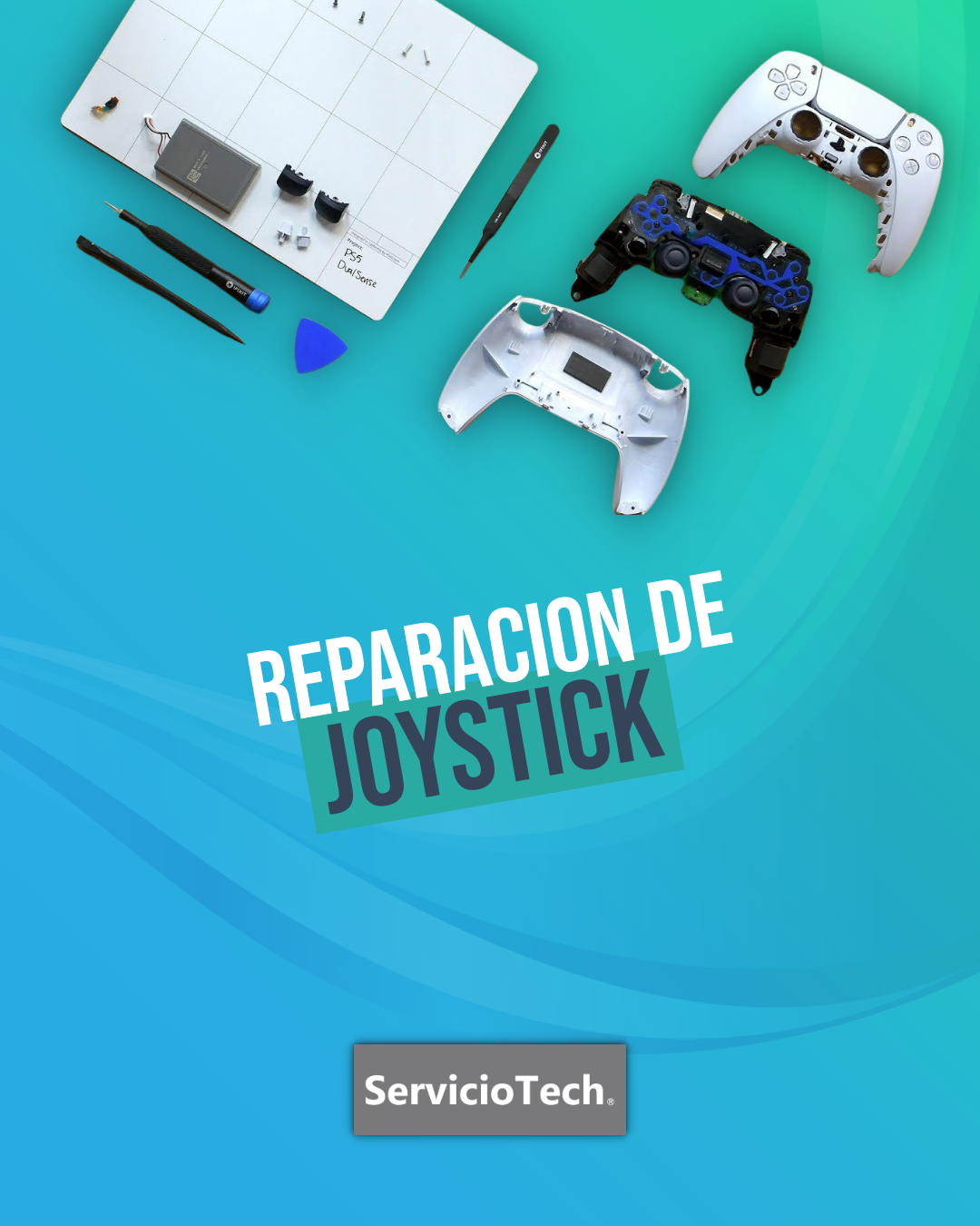 Descripción de la Imagen 8
